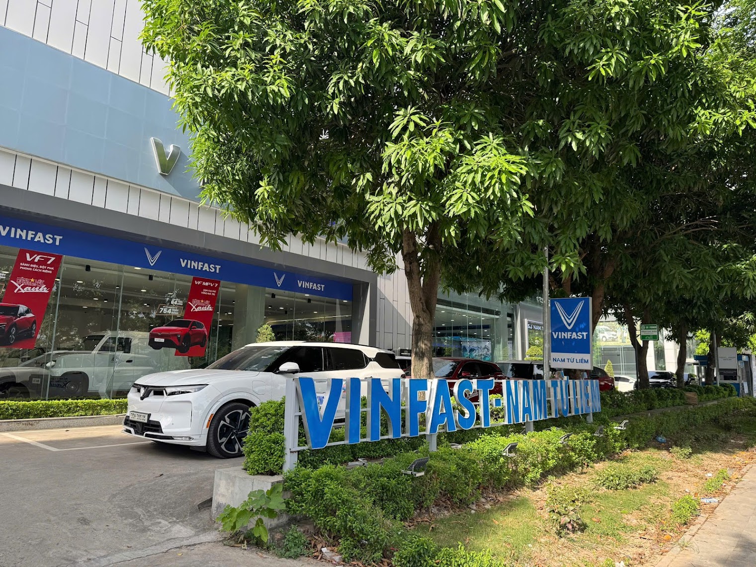 limo-green-thang-8-2026-uu-dai-bung-no-ca-tram-trieu-dong-but-pha-dich-vu-gia-dinh